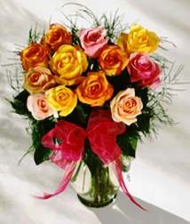 dozen colored roses