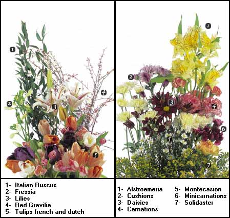online flower species directoy and there associated 	floral picture