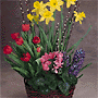 Spring Garden Basket Bouquet for easter sunday